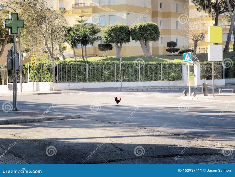 Best chicken road casino in Spain